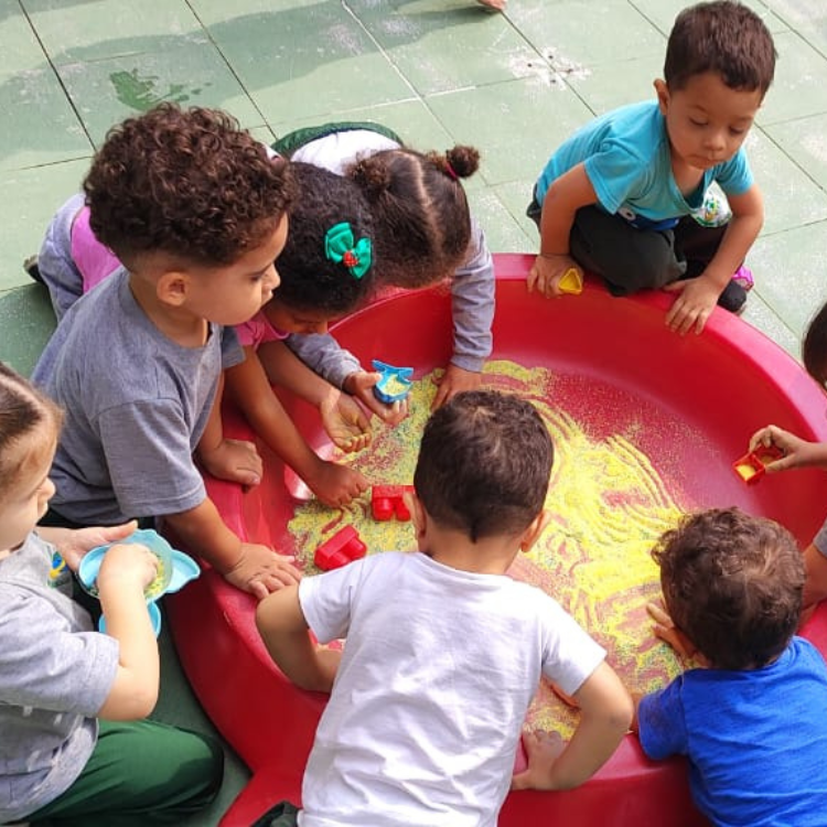 Metodologia Semeando Futuro